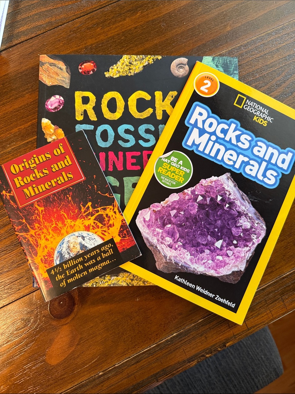 National Geographic Kids "Rocks and Minerals" Book , book on rocks and fossils